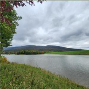The Lake (feat. Joe Ferrari)