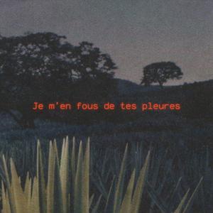 Je m'en fous de tes pleures (feat. TENSHI)