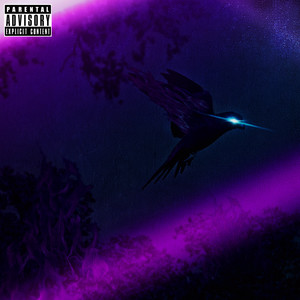 Big backwoods of zaza (Explicit)