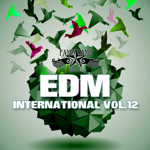 EDM International, Vol. 12