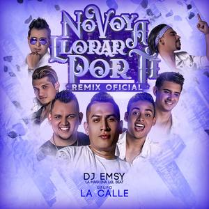 No Voy A Llorar Por Ti (Dj Emsy Remix)