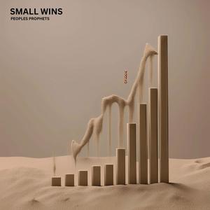 SMALL WINS (Explicit)