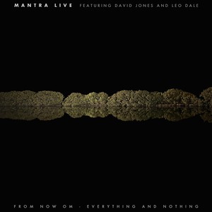 Nothing (feat. David Jones & Leo Dale)