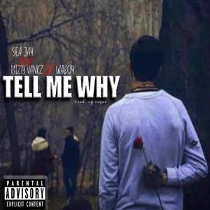 Tell Me Why(feat. Mizly vankz & Waboy) (Explicit)