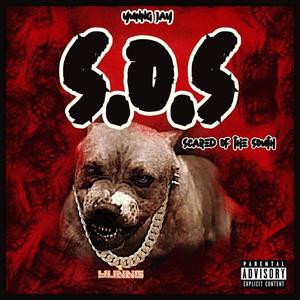 S.O.S(SCARED OF THE SOUTH) [Explicit]