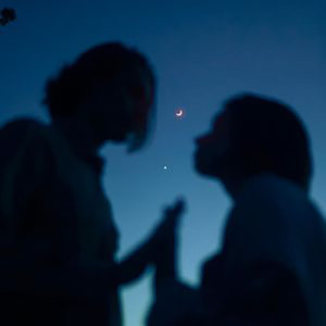 疯狂的卤蛋 - 星语心愿