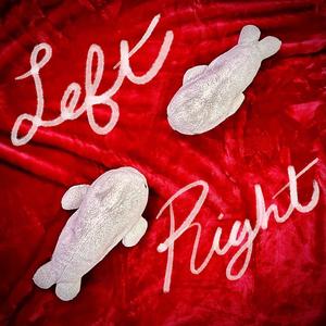 L2R(Left to Right) (Explicit)