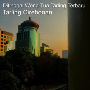 Ditinggal Wong Tua Tarling Terbaru