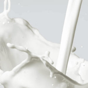 spoiled milk (Explicit)