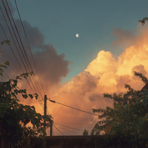 Summer Rain