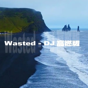 Wasted (DJ高燃版)