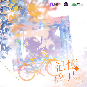 记忆碎片封面