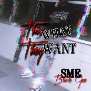 This What Dey Want (Explicit)