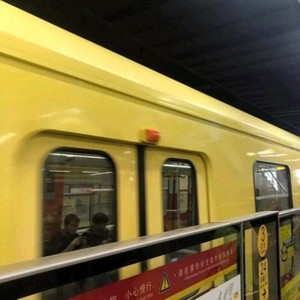 谅