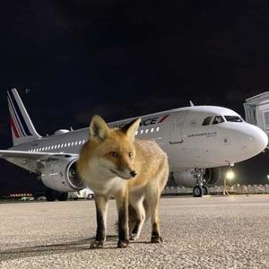 tuci (feat. disoc8) (Explicit)