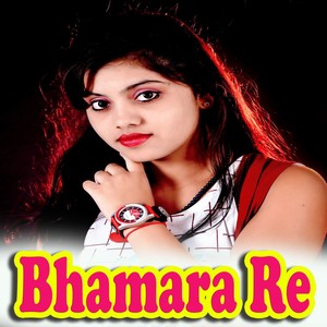 Bhamara Re