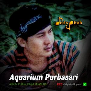 Aquarium Purbasari (feat. @dpstudioprod, Musisi Purbalingga, Jawa Ngapak, Penginyongan, Lagu Jawa, Campursari Koplo, Dangdut Ngapak, Ngapak Purbalingga, DEDY PITAK STUDIO & REC ©dpstudioprod)