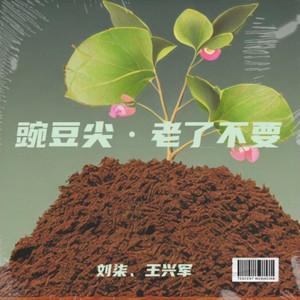 放不下的最羡慕 (伴奏)