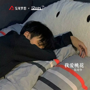 我爱桃花 (DJ版)