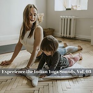 Experience The Indian Yoga Sounds, Vol. 03