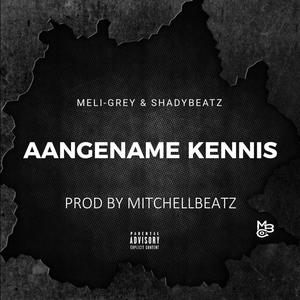 Aangename Kennis (feat. Meli-Grey & Shadybeatz) [Explicit]