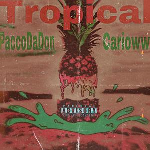 TropiCal (Explicit)