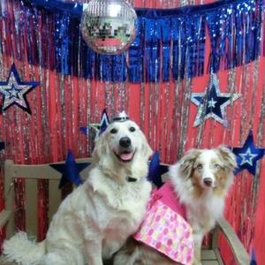 Skipped The Prom! (feat. bluu!)