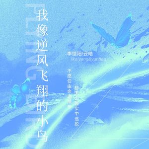我像逆风飞翔的小鸟 (对唱版)