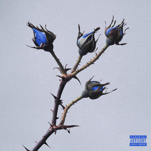 Petali (Osama 3) (Explicit)