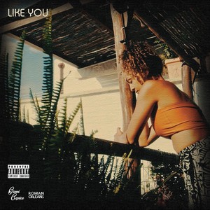 Like You (Explicit)