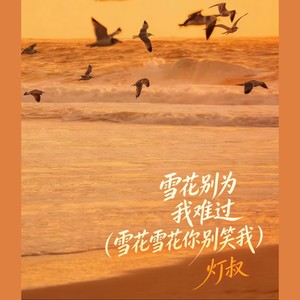 灯叔 - 雪花别为我难过(雪花雪花你别笑我)