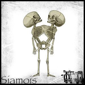 Siamois (Explicit)