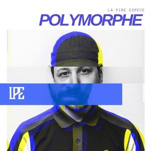 Polymorphe