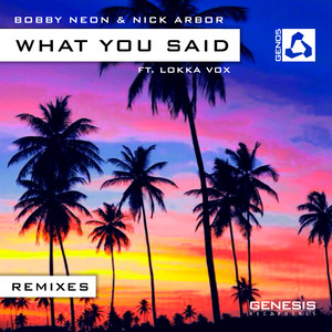 What You Said (Allen Wish Remix)
