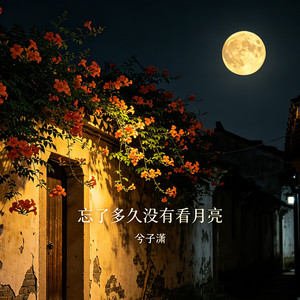 忘了多久没有看月亮