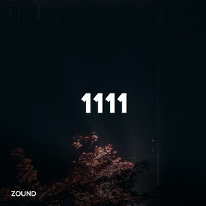1111
