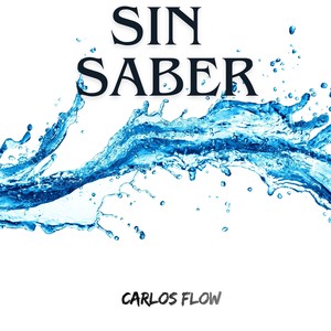 SIN SABER
