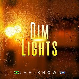 Dim Lights Riddim (feat. Slash Don)