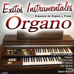 Éxitos Instrumentales Organo