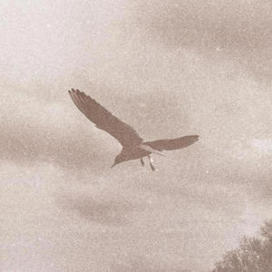 Fly On (feat. Byron Steez & Mando SXM) (Explicit)