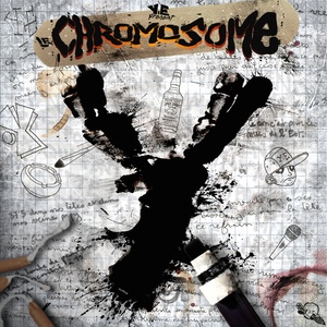 Le chromosome Y (Explicit)