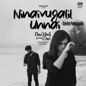 Ninaivugalil Unnai (Rahelinte Pranayagaadha)