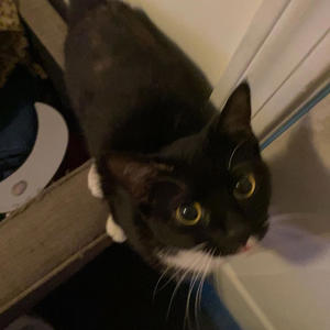 Basian (feat. Tko) (Explicit)