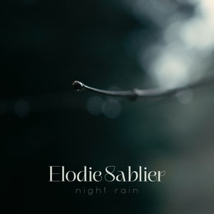 Night Rain