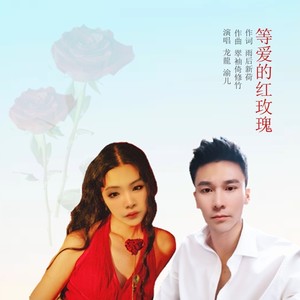 等爱的红玫瑰 (合唱版)