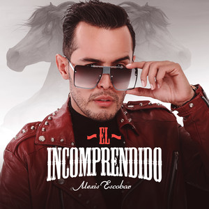 El Incomprendido