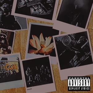 Focus On Lotus (feat. heartsicotine) (Explicit)