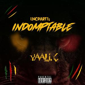 LNC Pt. 1: Indomptable (Explicit)