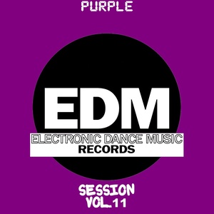 EDM Electronic Dance Music Session, Vol. 11 (Purple)