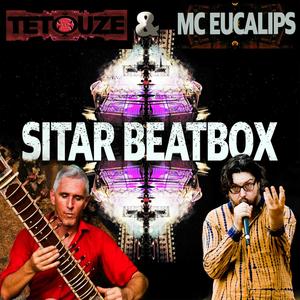 Sitar Beatbox (feat. Mc Eucalips)